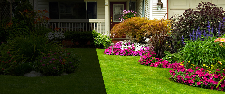 Sunrise Beach Landscapers